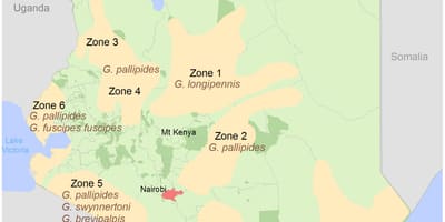 Kenia instituut van die opname en kartering fooi struktuur